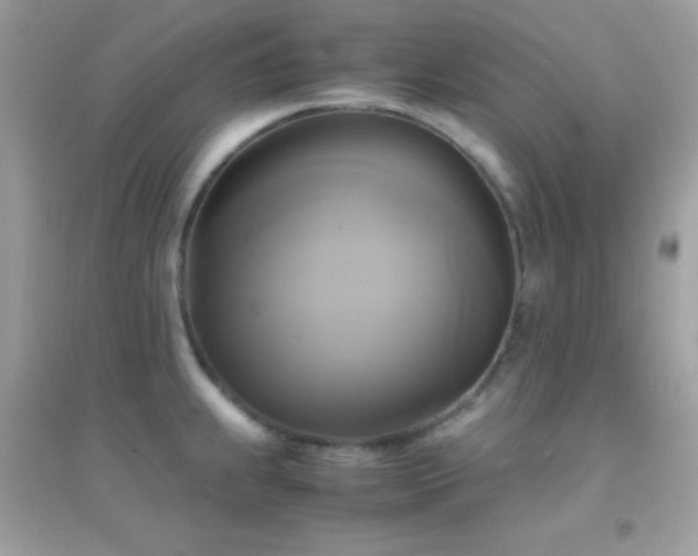 X0000095121239200712071233