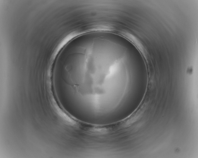 X0000095121243200712071233