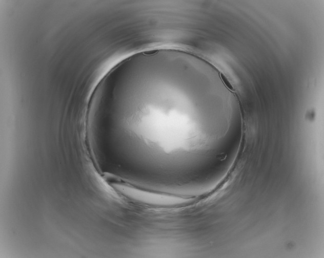 X0000095121244200712071233