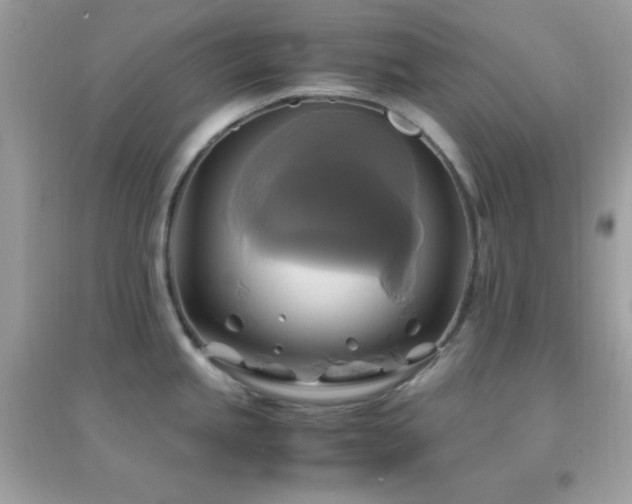 X0000095121245200712071233