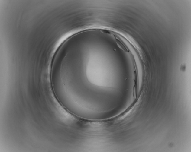 X0000095121246200712071233
