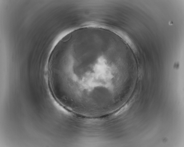 X0000095121247200712071233
