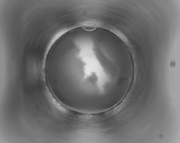 X0000095121248200712071233
