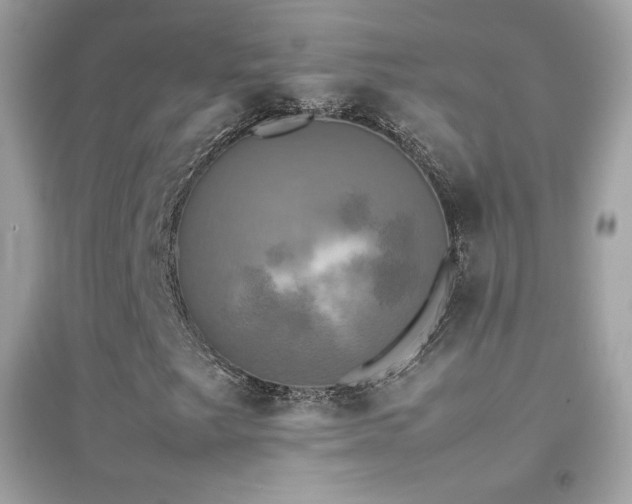 X0000095121249200712071232