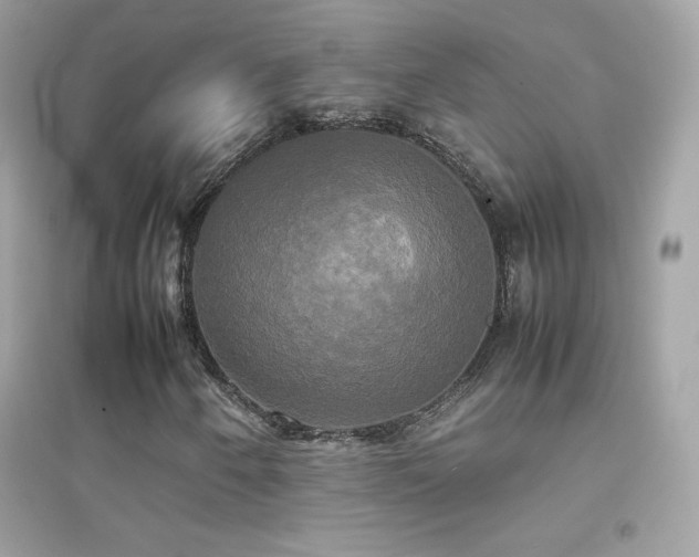 X0000095121250200712071232