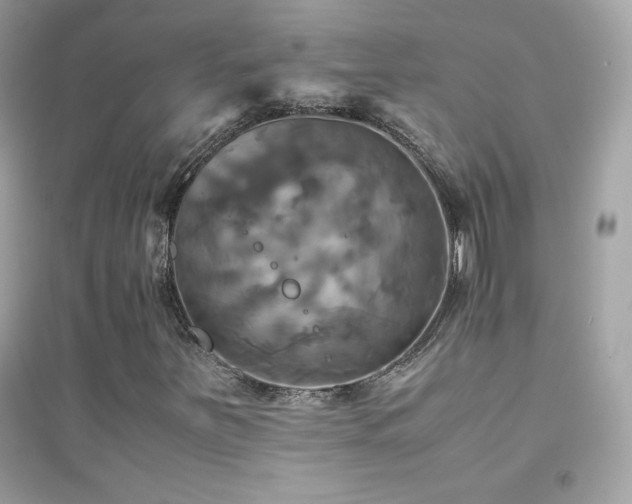 X0000095121251200712071232