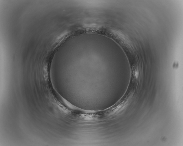 X0000095121252200712071232