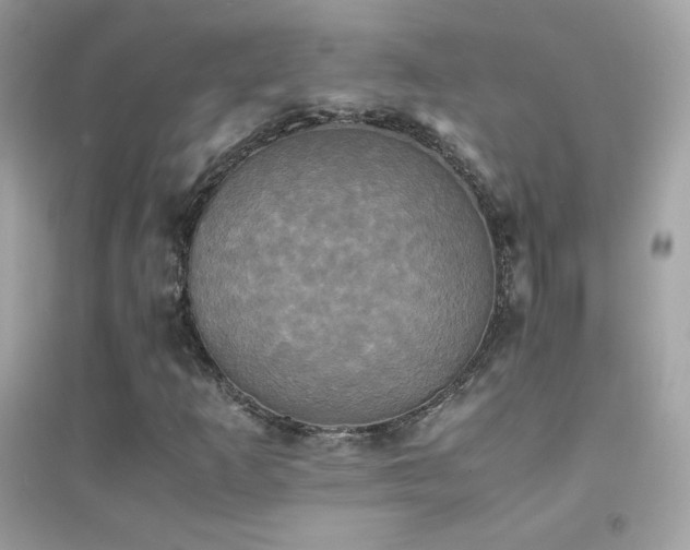 X0000095121253200712071232