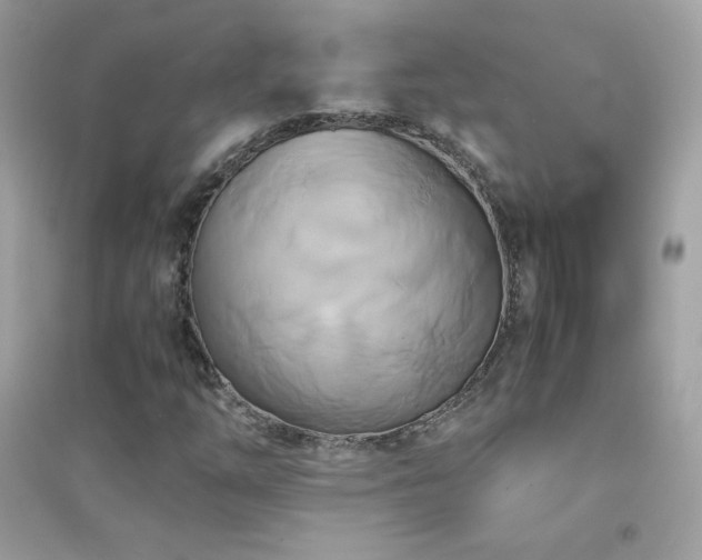 X0000095121254200712071232