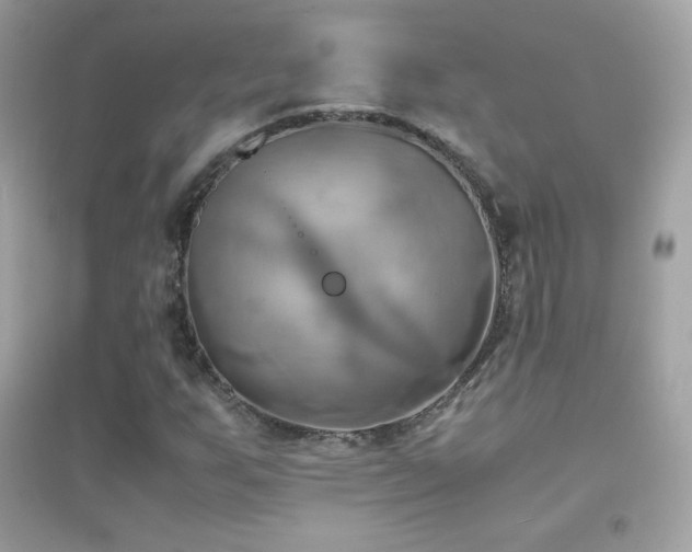 X0000095121255200712071232