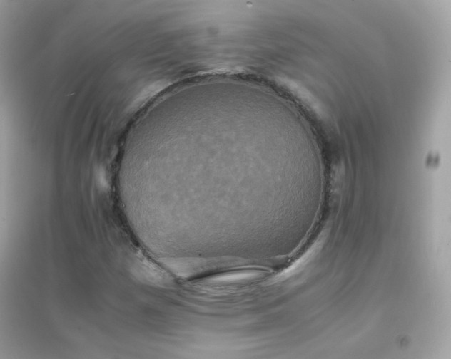 X0000095121257200712071232