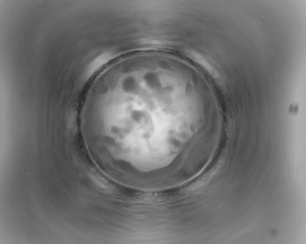 X0000095121259200712071232