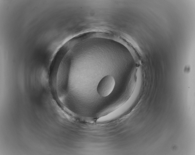 X0000095121260200712071232