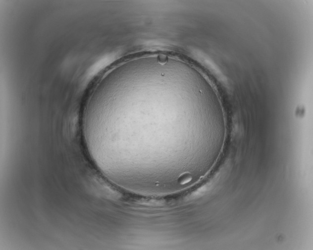 X0000095121261200712071232