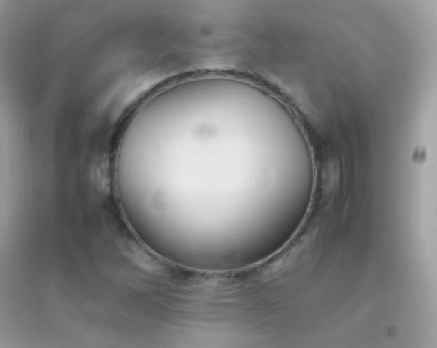 X0000095121262200712071232