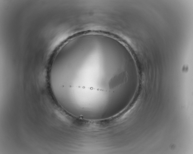 X0000095121263200712071232
