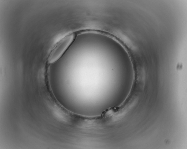 X0000095121264200712071232