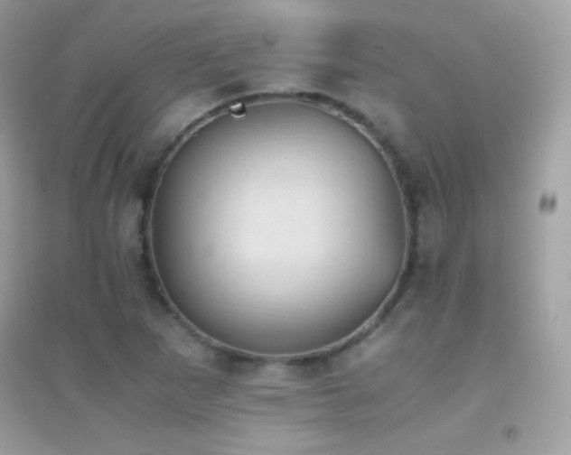 X0000095121265200712071232