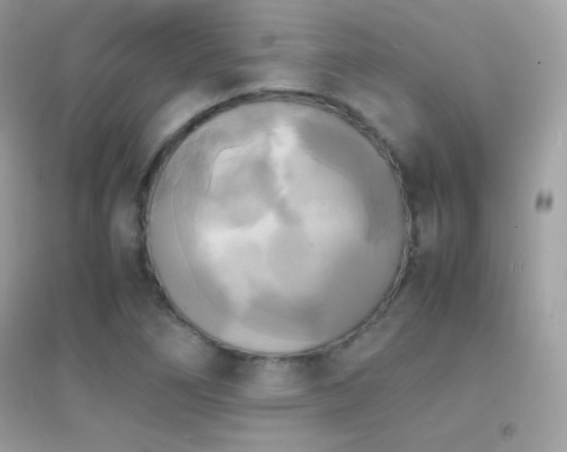 X0000095121266200712071232