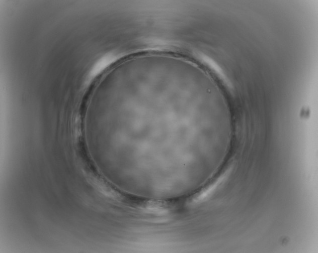 X0000095121267200712071232