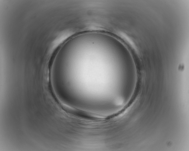 X0000095121269200712071232