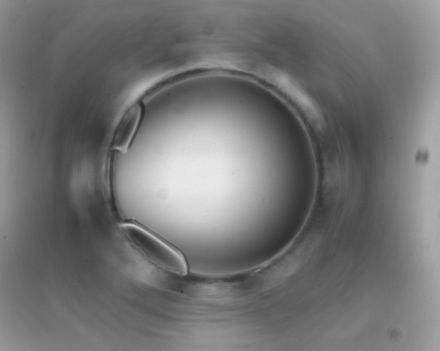 X0000095121272200712071232