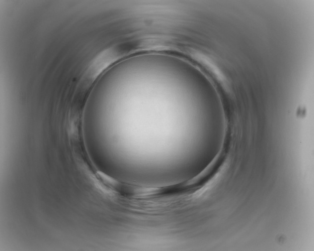X0000095121273200712071232
