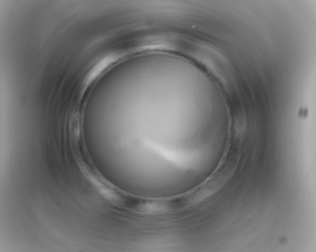 X0000095121274200712071232