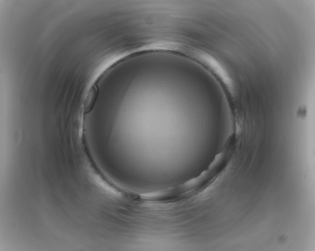 X0000095121276200712071232