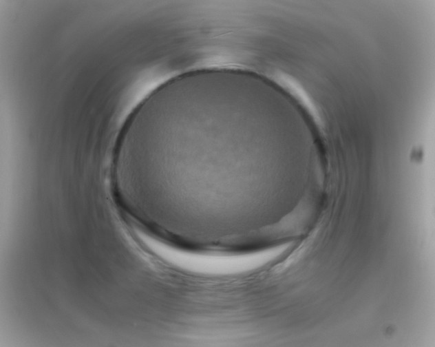 X0000095121277200712071232