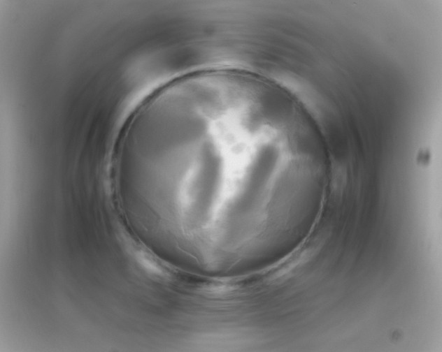 X0000095121278200712071232