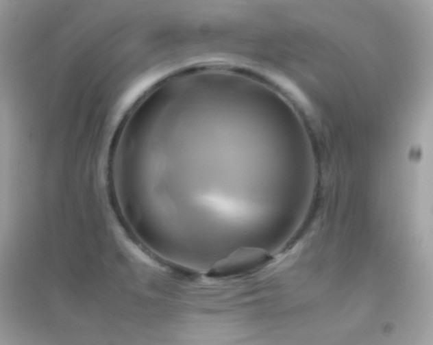X0000095121279200712071232