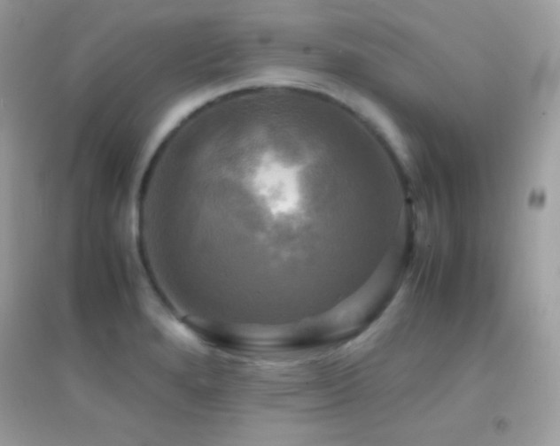 X0000095121280200712071232