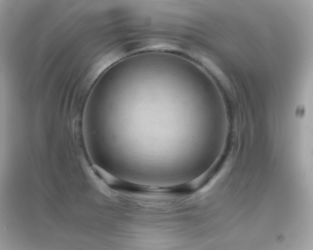 X0000095121281200712071232