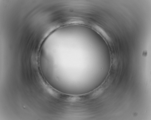 X0000095121282200712071232