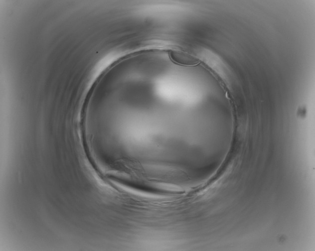 X0000095121283200712071232