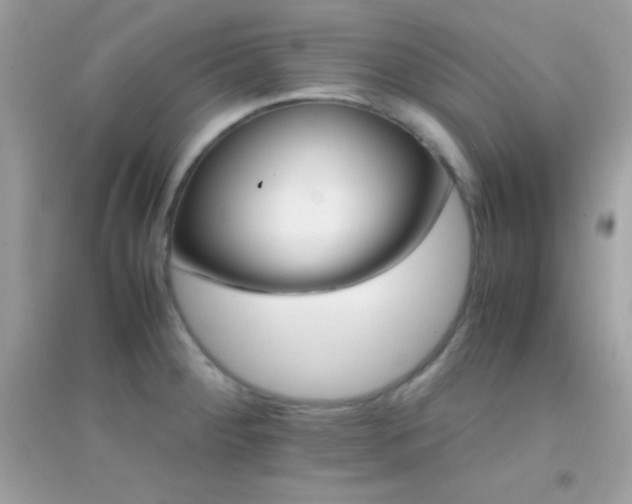X0000095121284200712071232