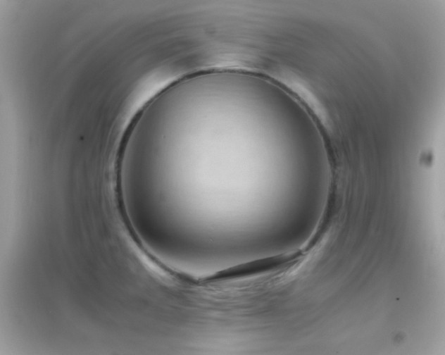 X0000095121285200712071232