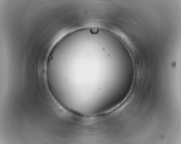 X0000095121286200712071232