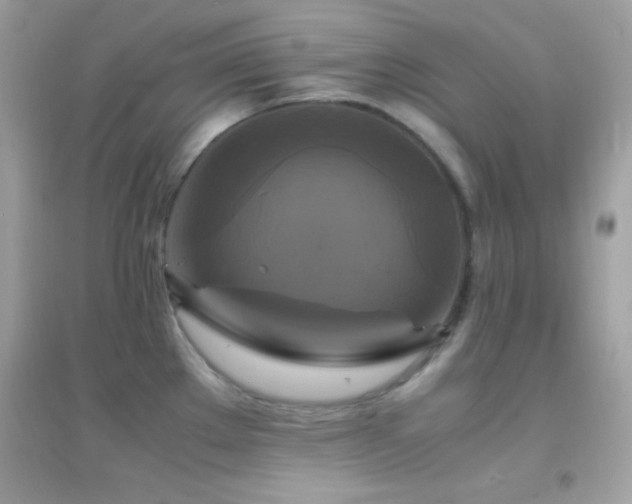 X0000095121289200712071231
