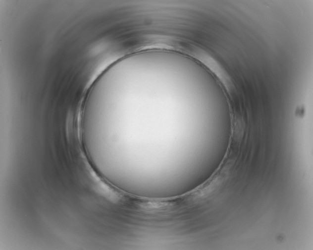 X0000095121290200712071231