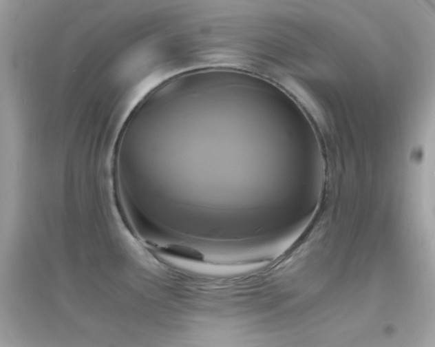 X0000095121291200712071231