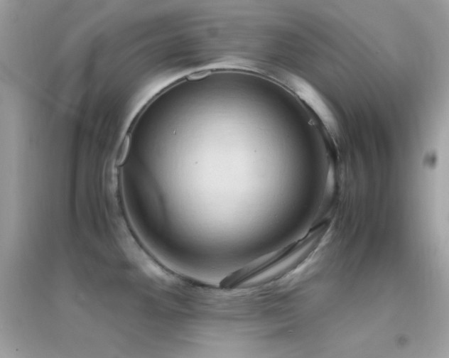 X0000095121292200712071231