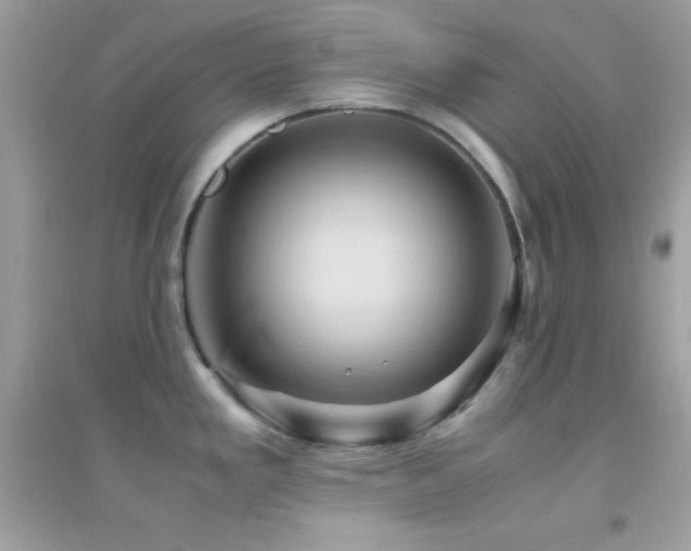 X0000095121293200712071231