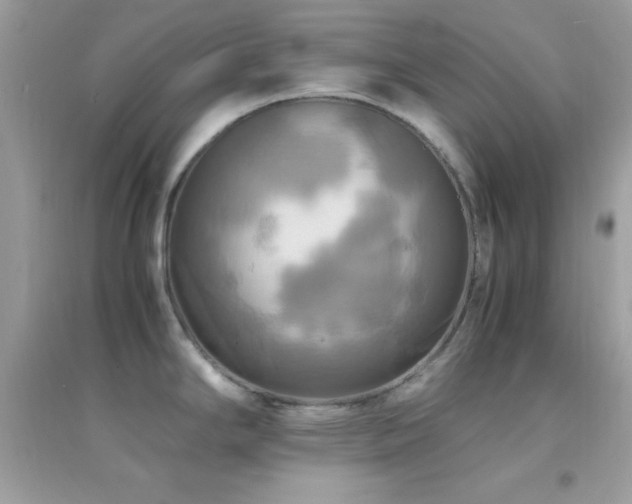 X0000095121294200712071231
