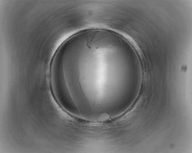 X0000095121295200712071231
