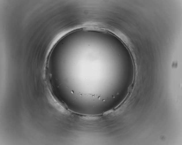 X0000095121296200712071231