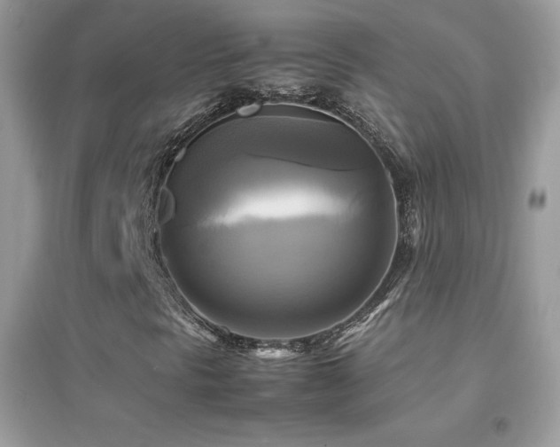 X0000095121297200712071231