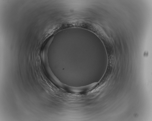 X0000095121298200712071231