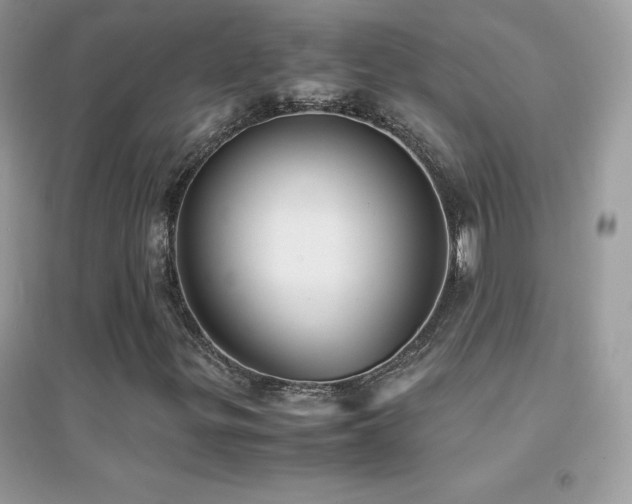 X0000095121299200712071231